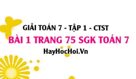 Giải bài 1 trang 75 Toán 7 Tập 1 SGK Chân trời sáng tạo